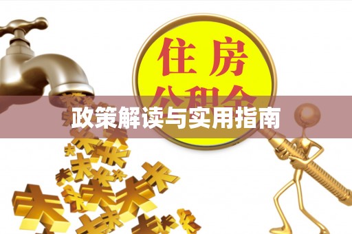 崇左政策解读与实用指南